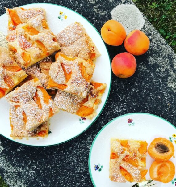 Marillen-Topfen-Traum 