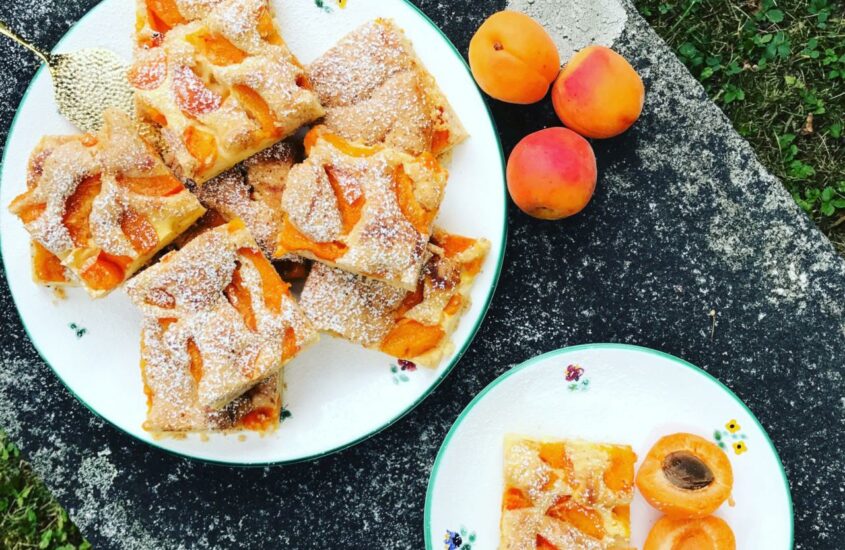 Marillen-Topfen-Traum