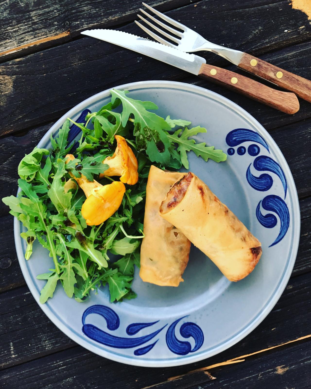 Frühlingsrollen mit Eierschwammerl