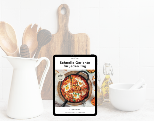 MEIN LAND-LEBEN E-Book „Schnelle Gerichte für jeden Tag“
