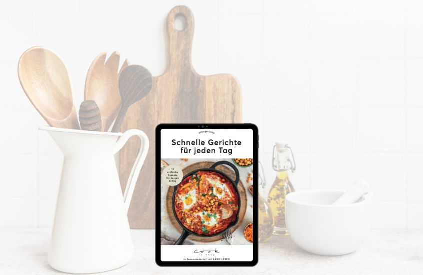 E-Book „Schnelle Gerichte für jeden Tag“ 