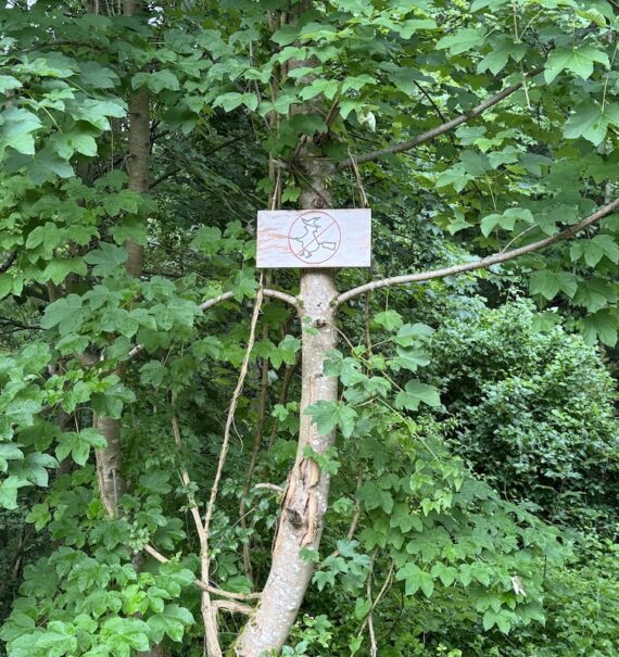 Ein unvergessliches Wochenende am Traunsee