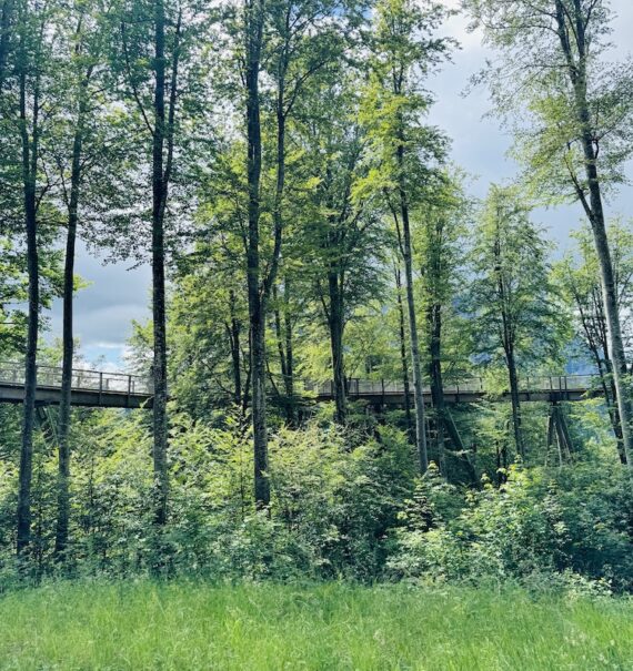 Ein unvergessliches Wochenende am Traunsee