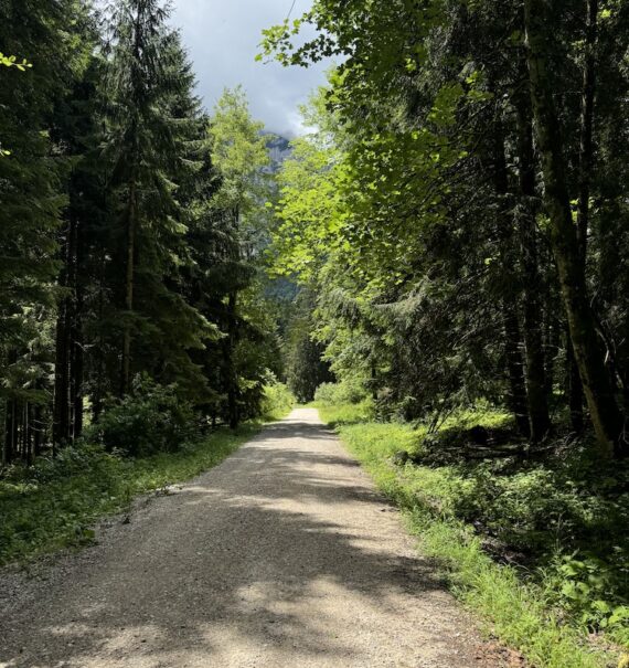 Ein unvergessliches Wochenende am Traunsee