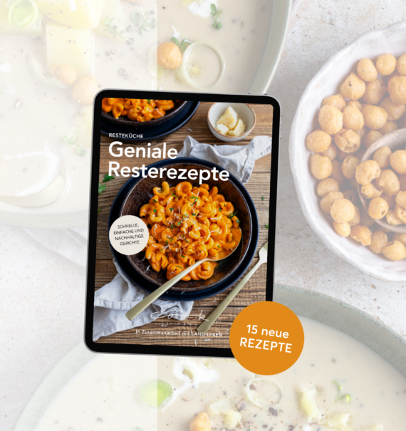 E-Book Geniale Resterezepte