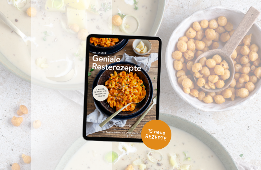 E-Book Geniale Resterezepte