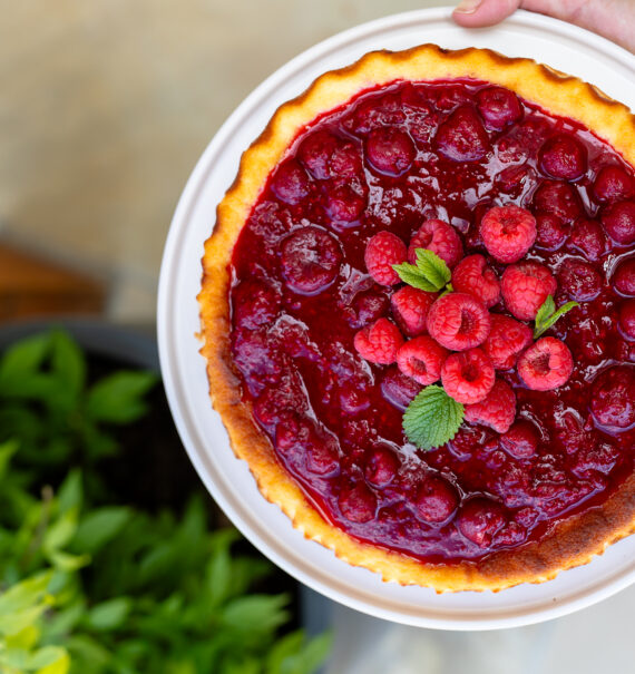 Zitronen-Ricotta-Kuchen