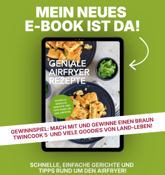 EBOOK Airfryer
